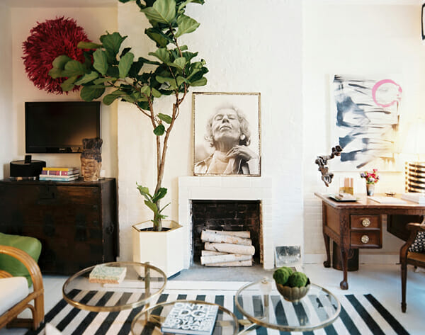 Fiddle Leaf Fig: Easy on the eyes, tricky on the care