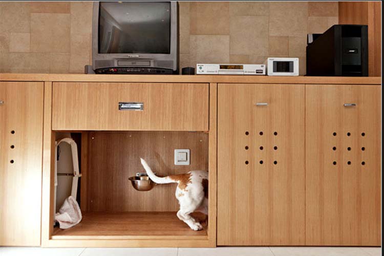 10 Awesome Pet-Friendly Home Inventions - Decorilla