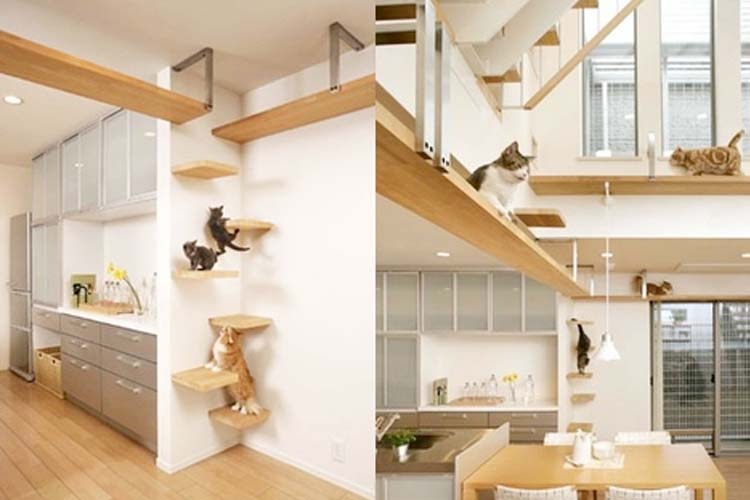 10 Awesome Pet-Friendly Home Inventions - Decorilla