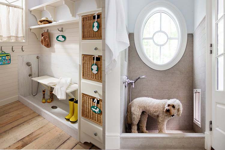 10 Awesome Pet Friendly  Home Inventions Decorilla