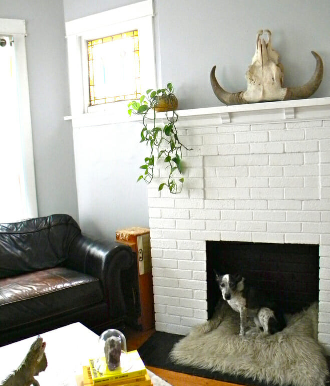 fireplace-dog-bed