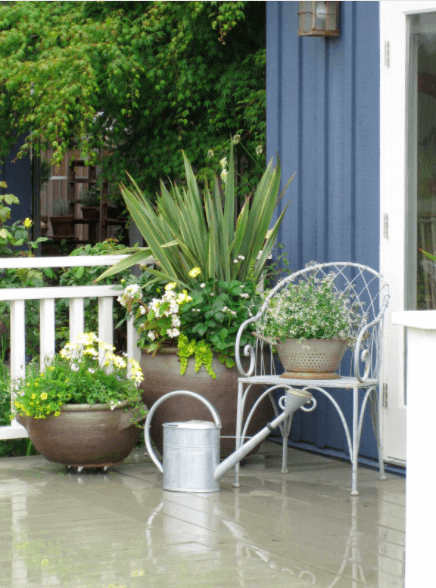 porch design potted plants