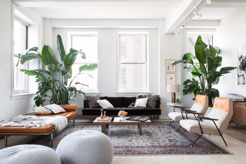 summer interior design trends plants in living room