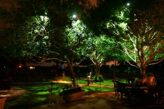 top backyard lighting trends moonlighting