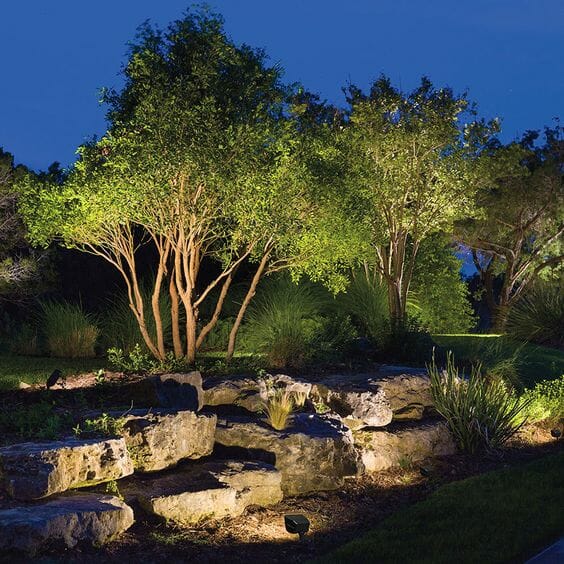 top backyard lighting trends up lighting tree