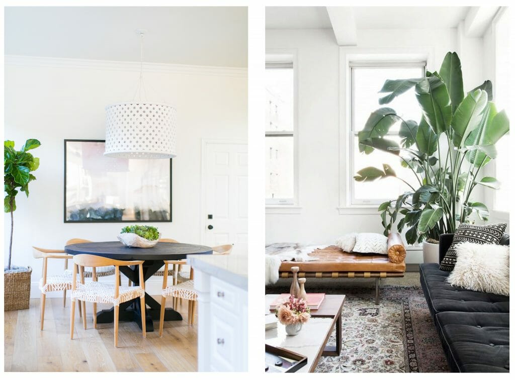 how to incorporate nature into your home- indoor floor plants