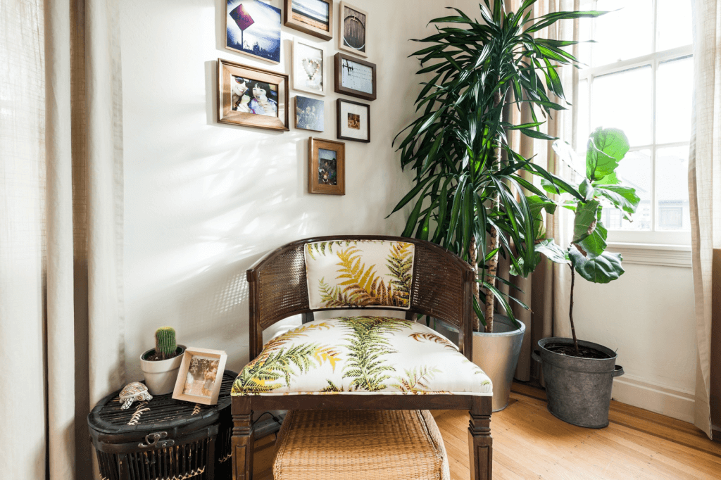 How to Decorate a Living Room with Plants: 25 Amazing Ideas