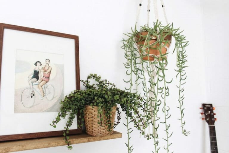 Top 5 Spring Interior Design Trends - Decorilla Online Interior Design