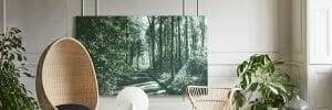 buy original art to create a botanical wonderlad