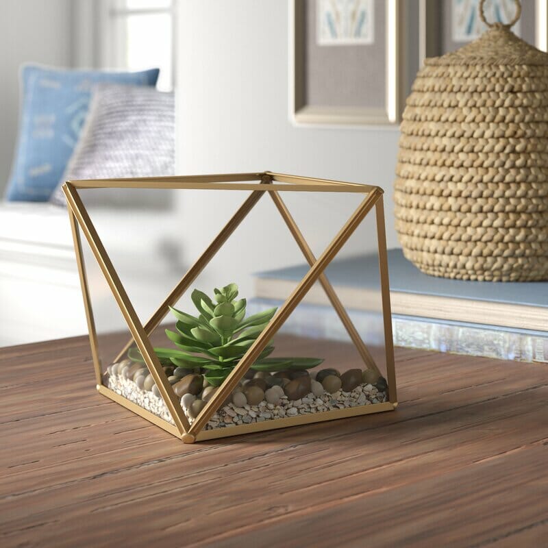 Home decoration gift ideas - succulent terrarium