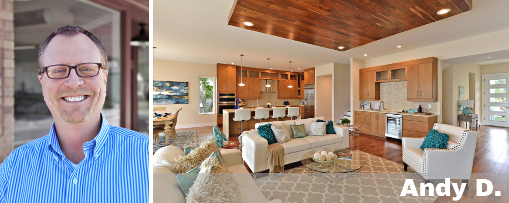 andy d - dsa - tampa interior designers