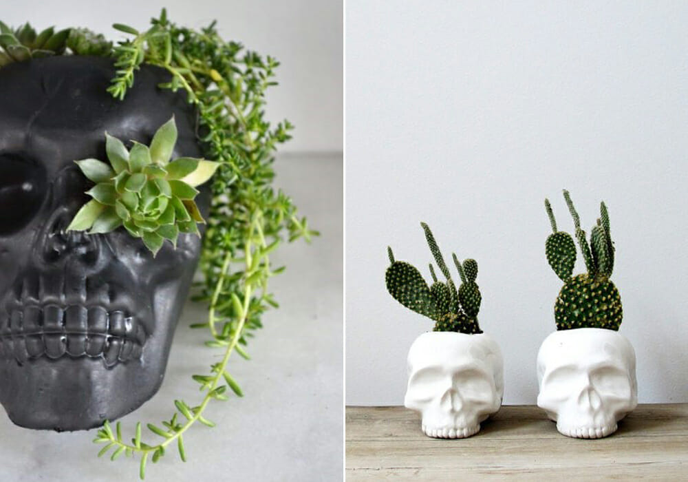 skulls with plants for halloween 2019