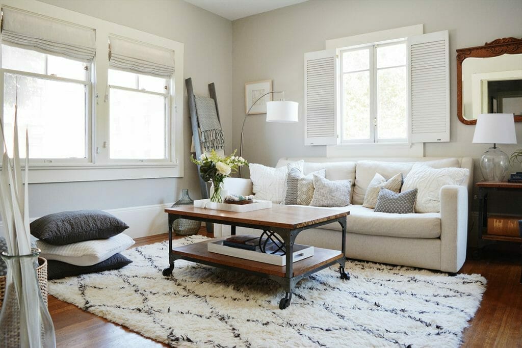 transitional-living-room-with-scandinavian-house-decor-and-geometric-monochrome-rug