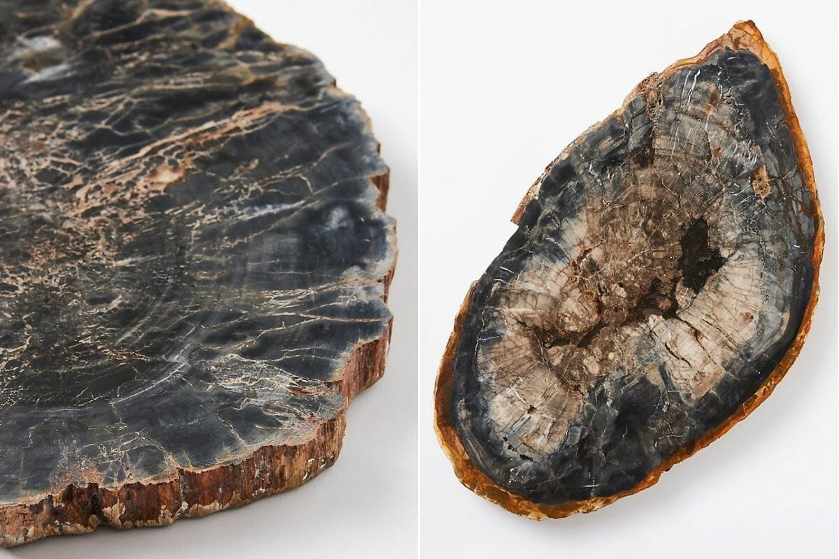 Elegant halloween decor in the form of a petrified wood platter