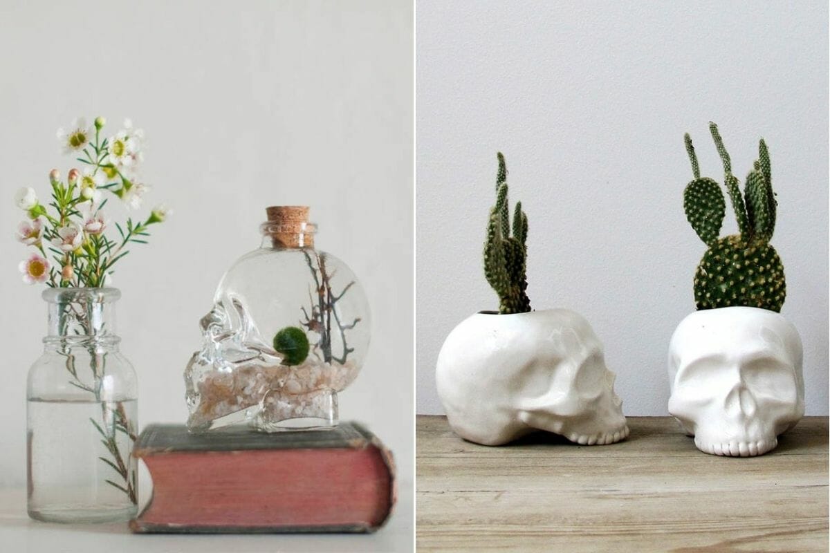 Skull planters and a terrarium as elegant halloween decor