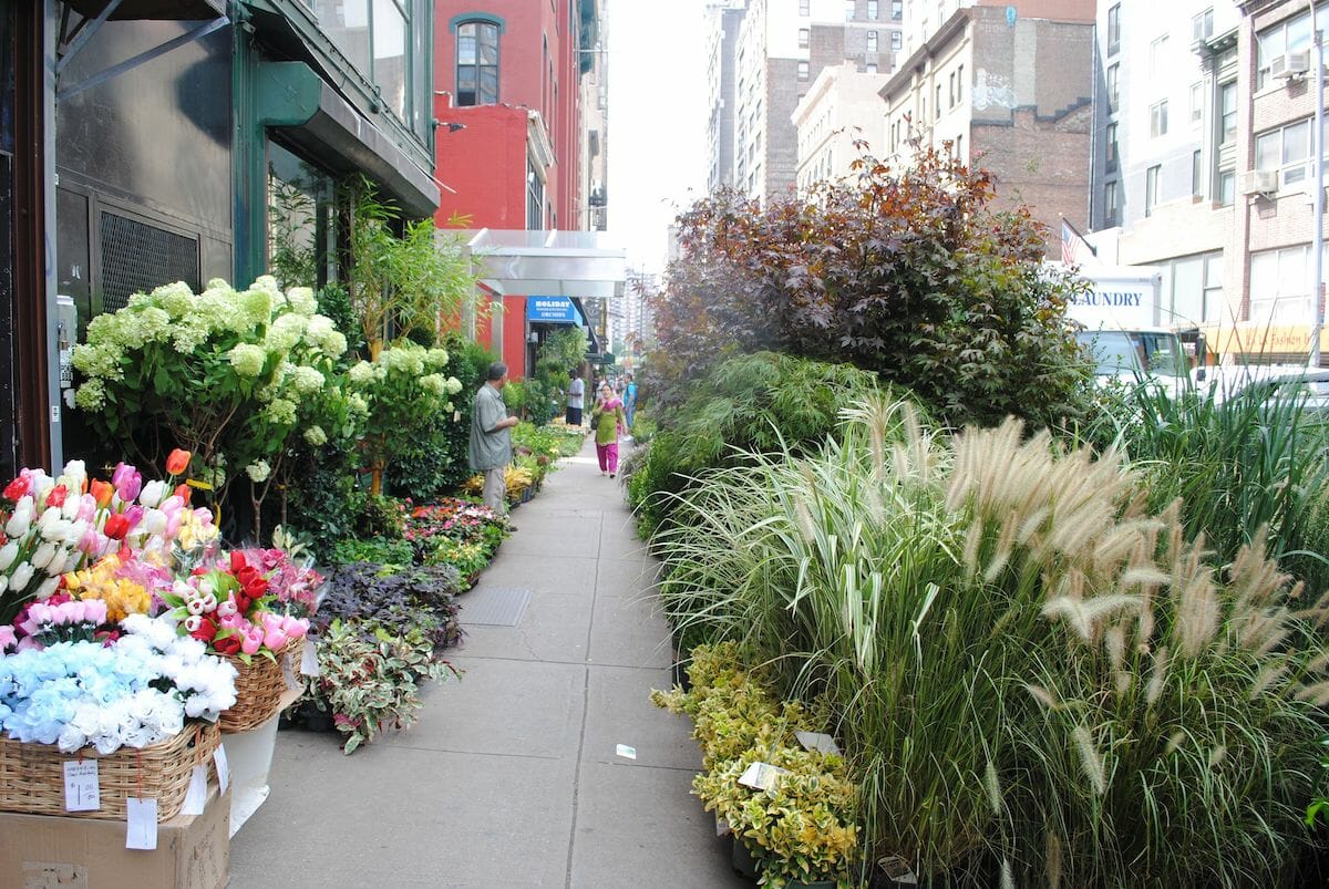 NYC flower market street view