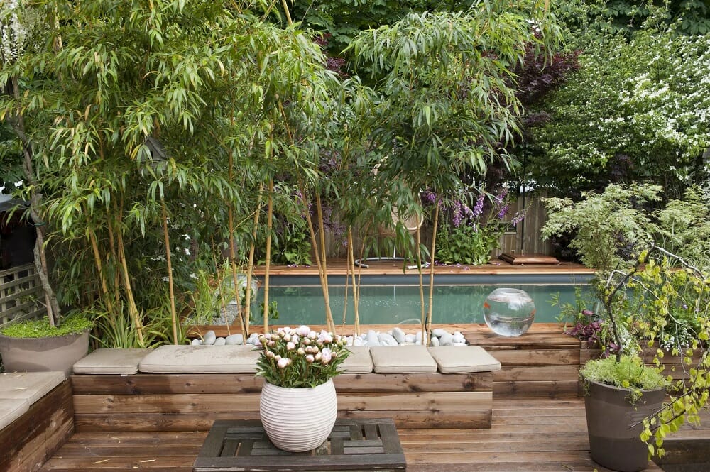Plants around the pool - bamboo as pool decorating ideas