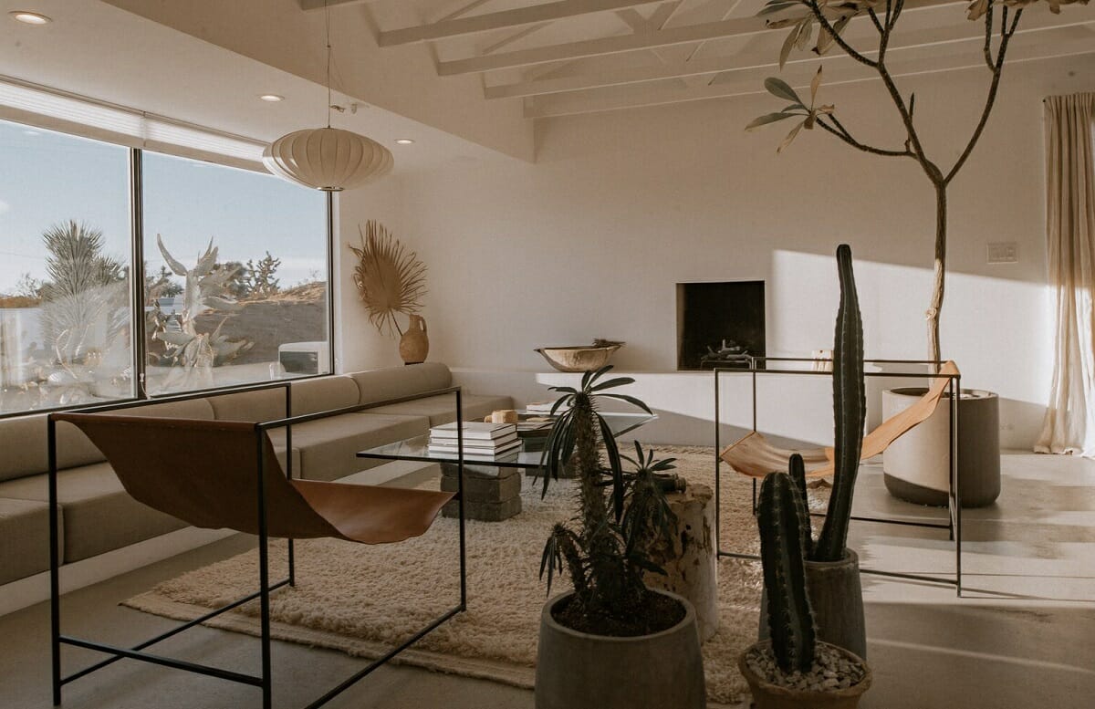 Alternative interior decorating with plants - The Spaces