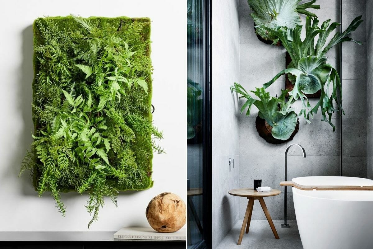 Indoor plant design for walls