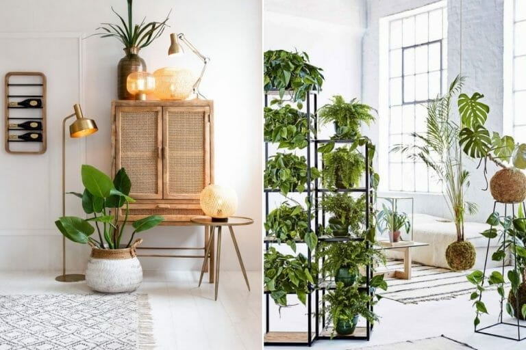 Plants in Interior Design How to Make Your Home Flourish Decorilla