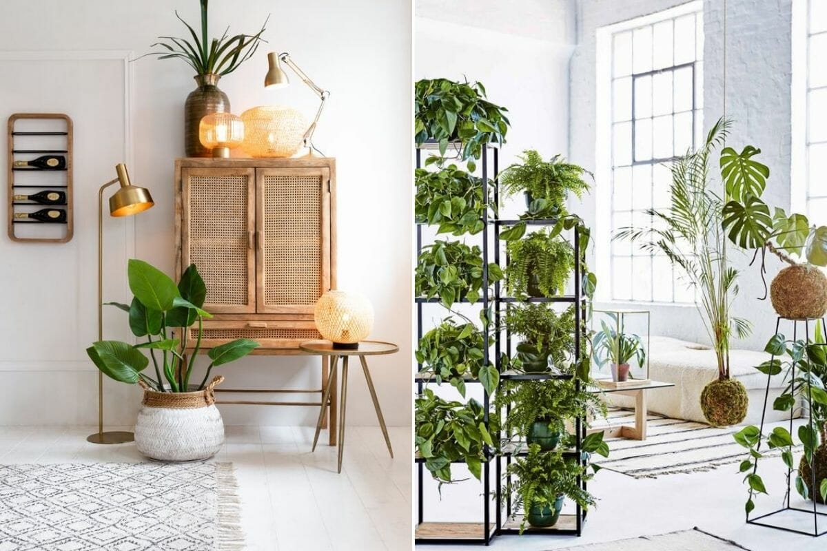 Interior decorating with plants on shelves