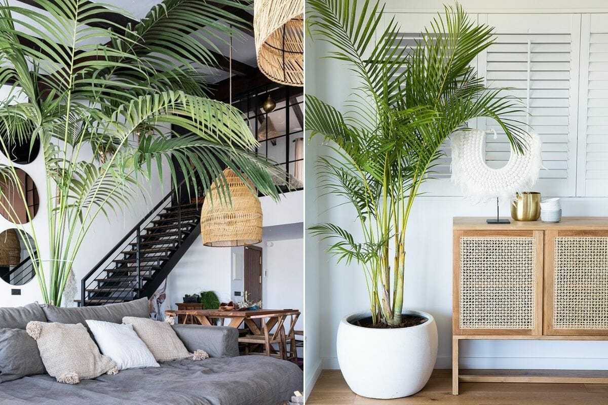 Plants In Interior Design How To Make