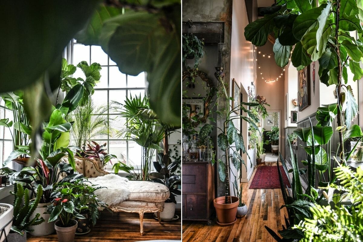 Lush interior filled with indoor plants design - Coveteur