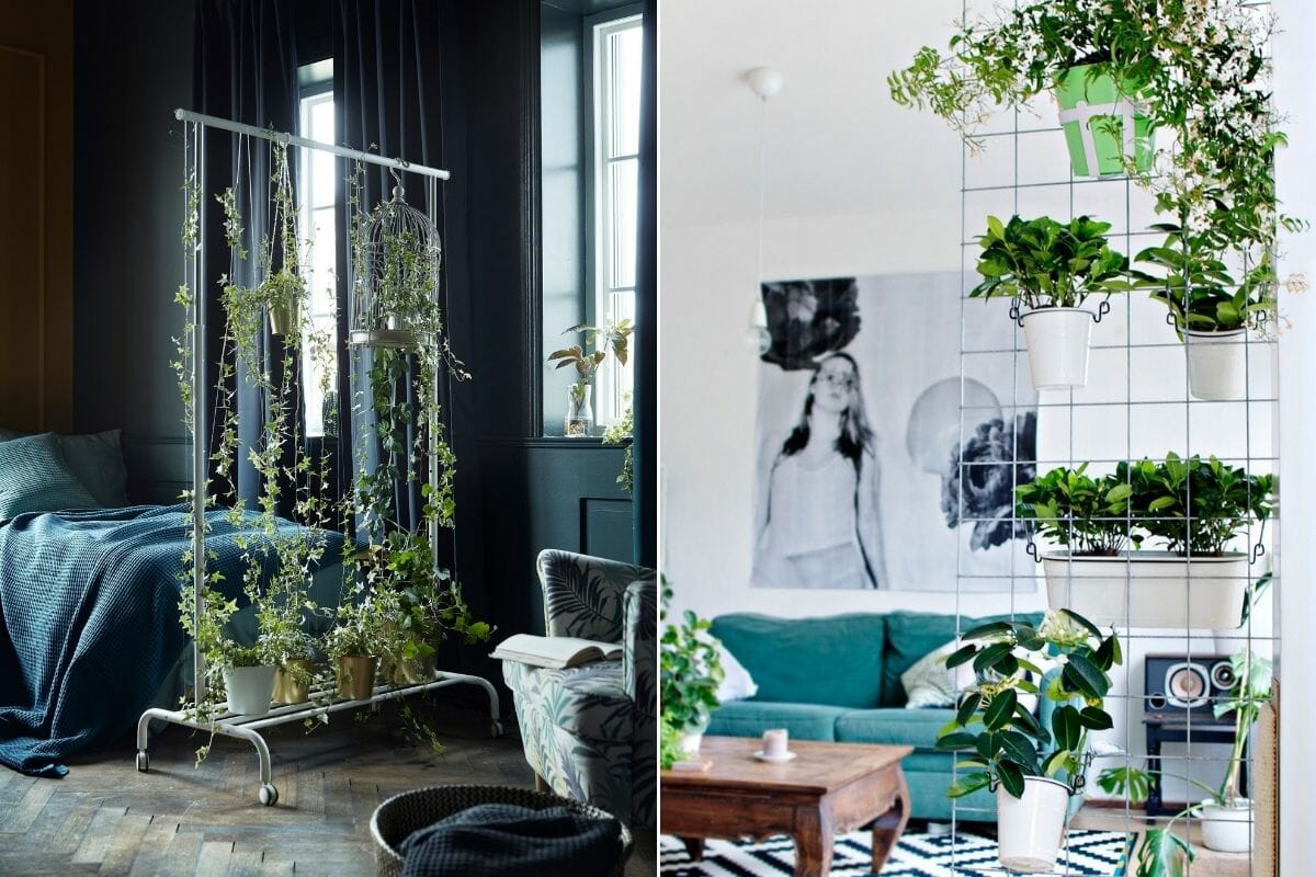Plants in interior design as room dividers