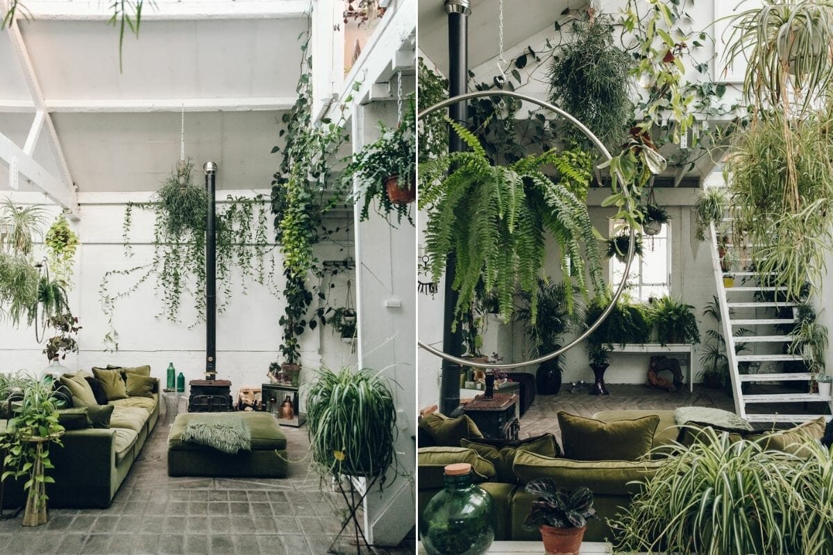 plants in interior design: how to make your home flourish - decorilla