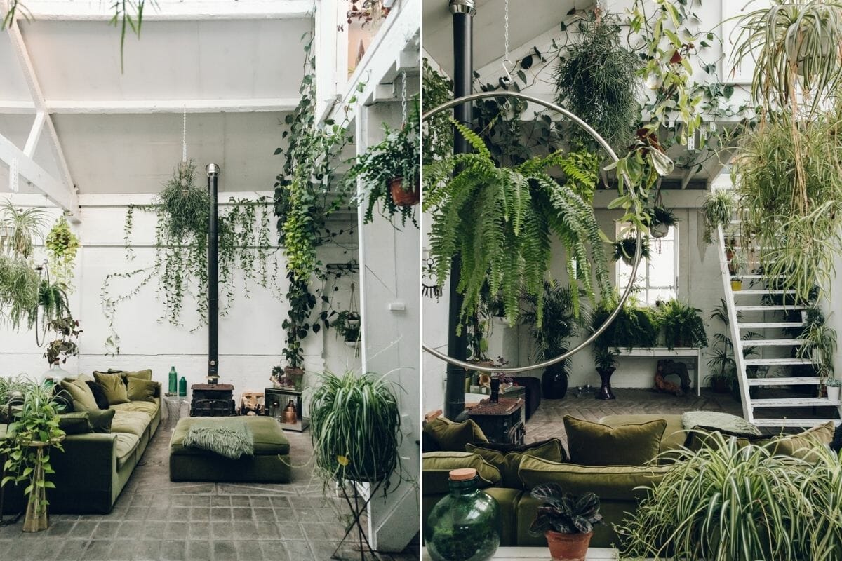 house plants interior design - Broadsheet