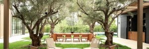 Modern pergola design with sleek outdoor furniture