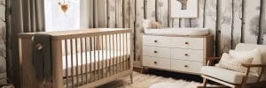 Adorable-woodland-themed-nursery-decor