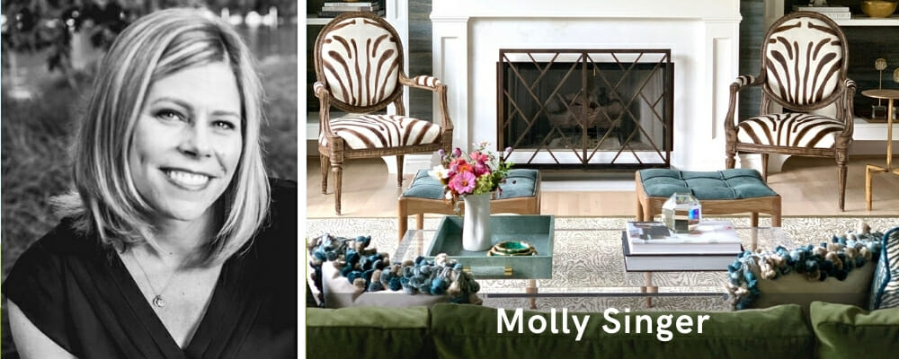 Houzz interior designers Pittsburgh Molly Singer