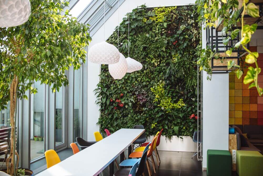 Modern office interior with lush plants