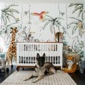 Safari themed nursery - project nursery