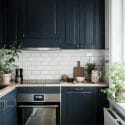 Blue Narrow kitchen ideas