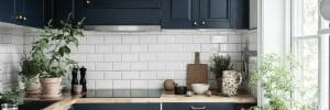 Blue Narrow kitchen ideas