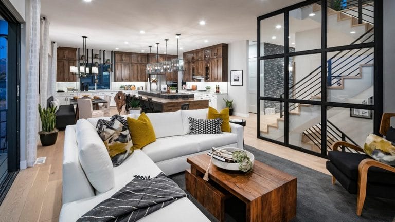 Harmonious Design: Open Concept Living Room and Kitchen Ideas